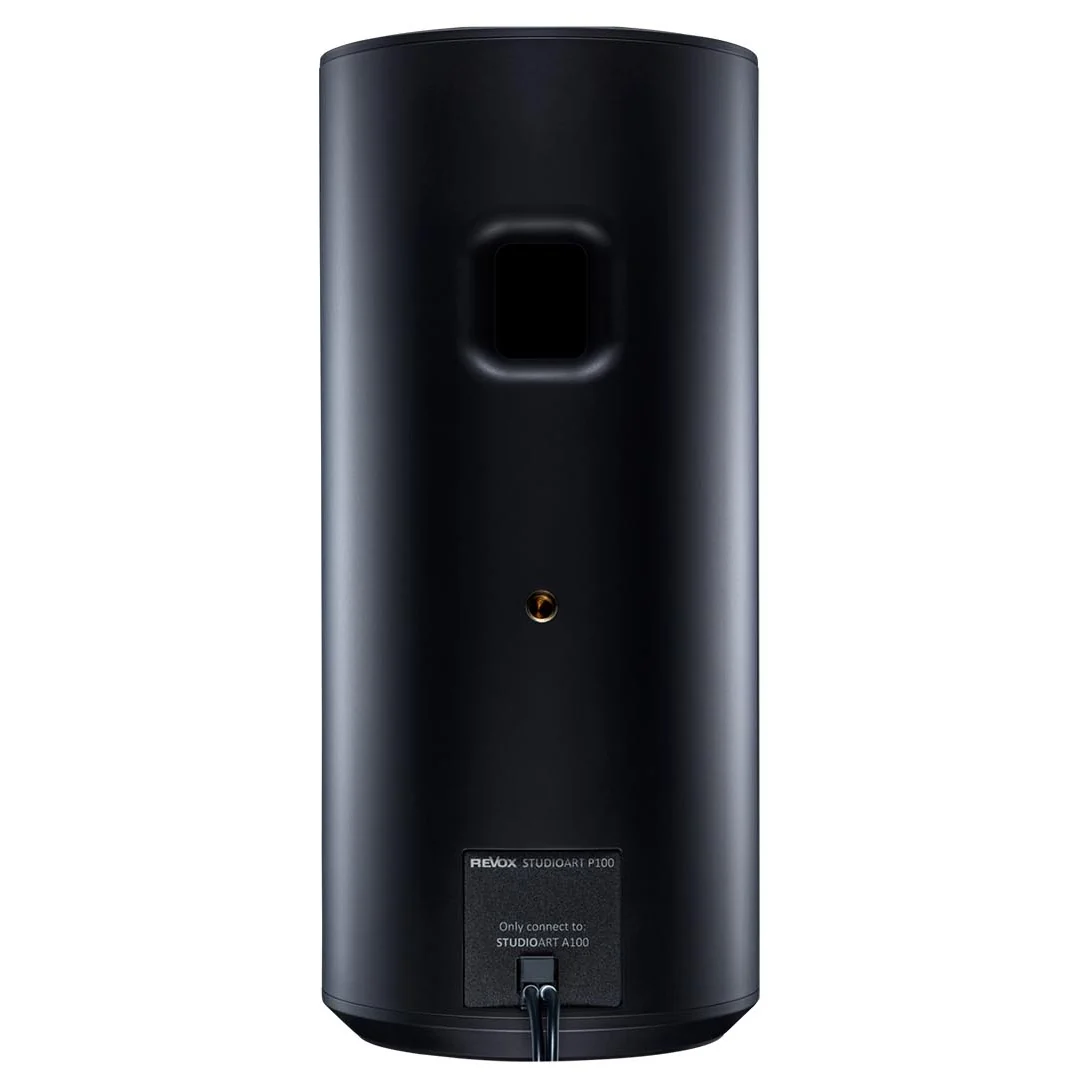 Revox STUDIOART P100 Room Speaker – Bild 2