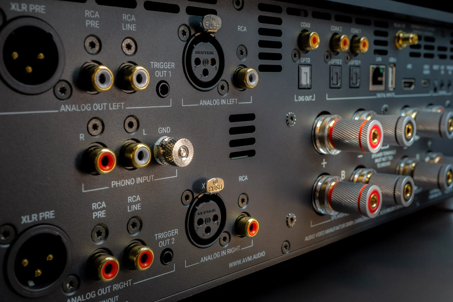 AVM CS 8.3 S, Anschlussfeld aus der Nähe