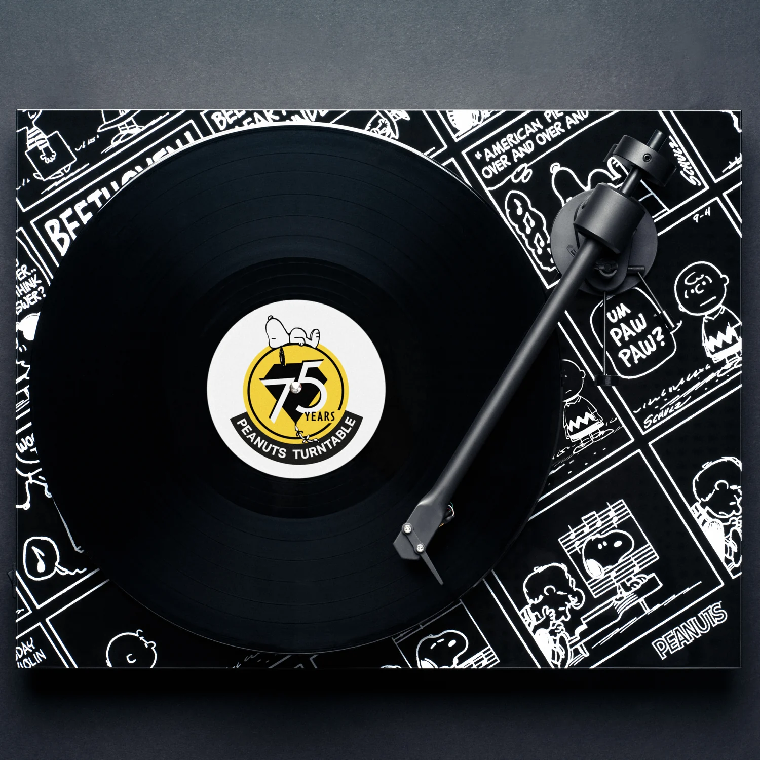 Pro-Ject Peanuts Turntable (Ortofon OM10) – Bild 2