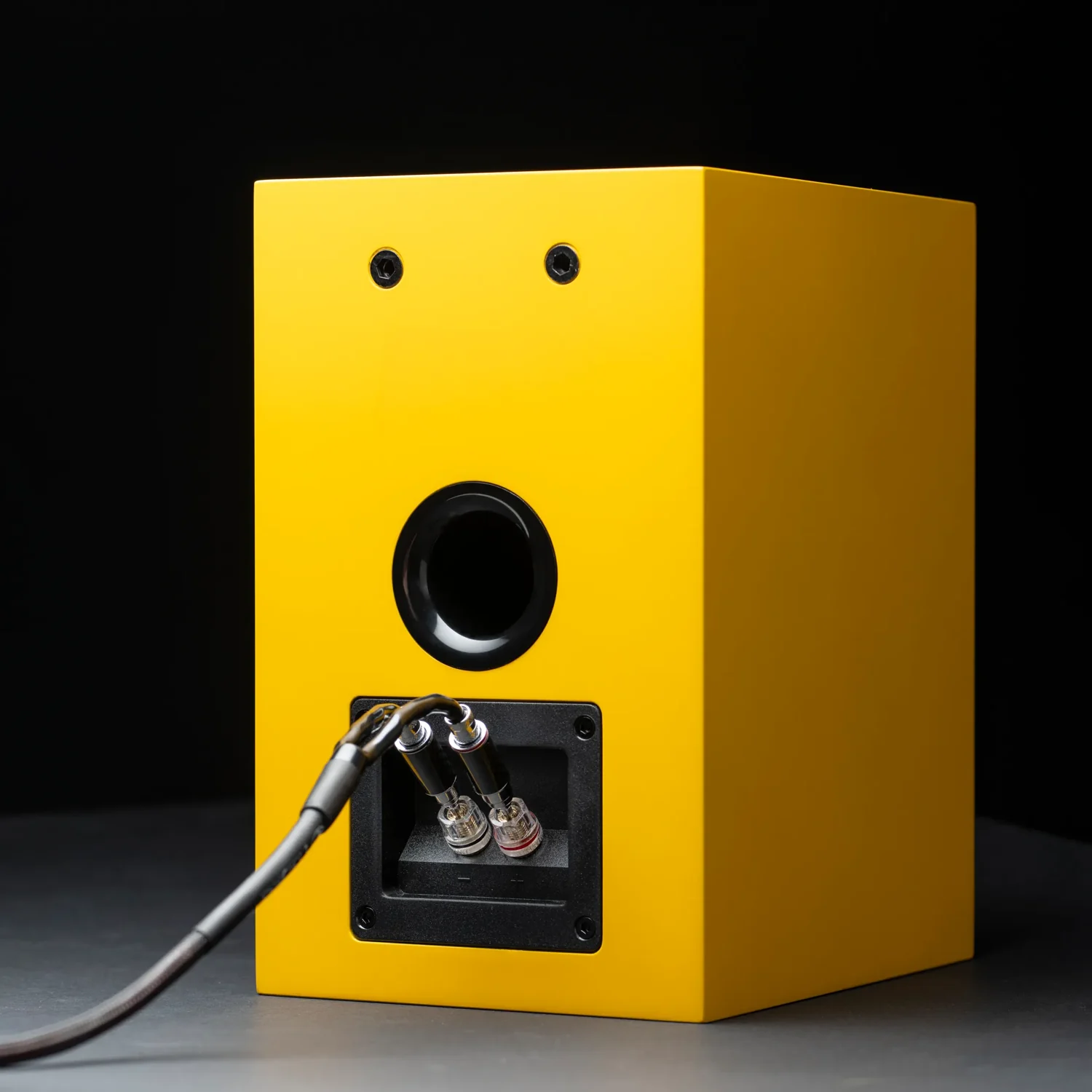 Pro-Ject Speaker Box 5 E Carbon – Bild 8