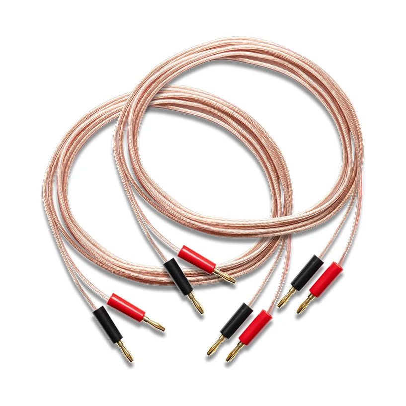 Pro-Ject Stereo Set E CD – Bild 5