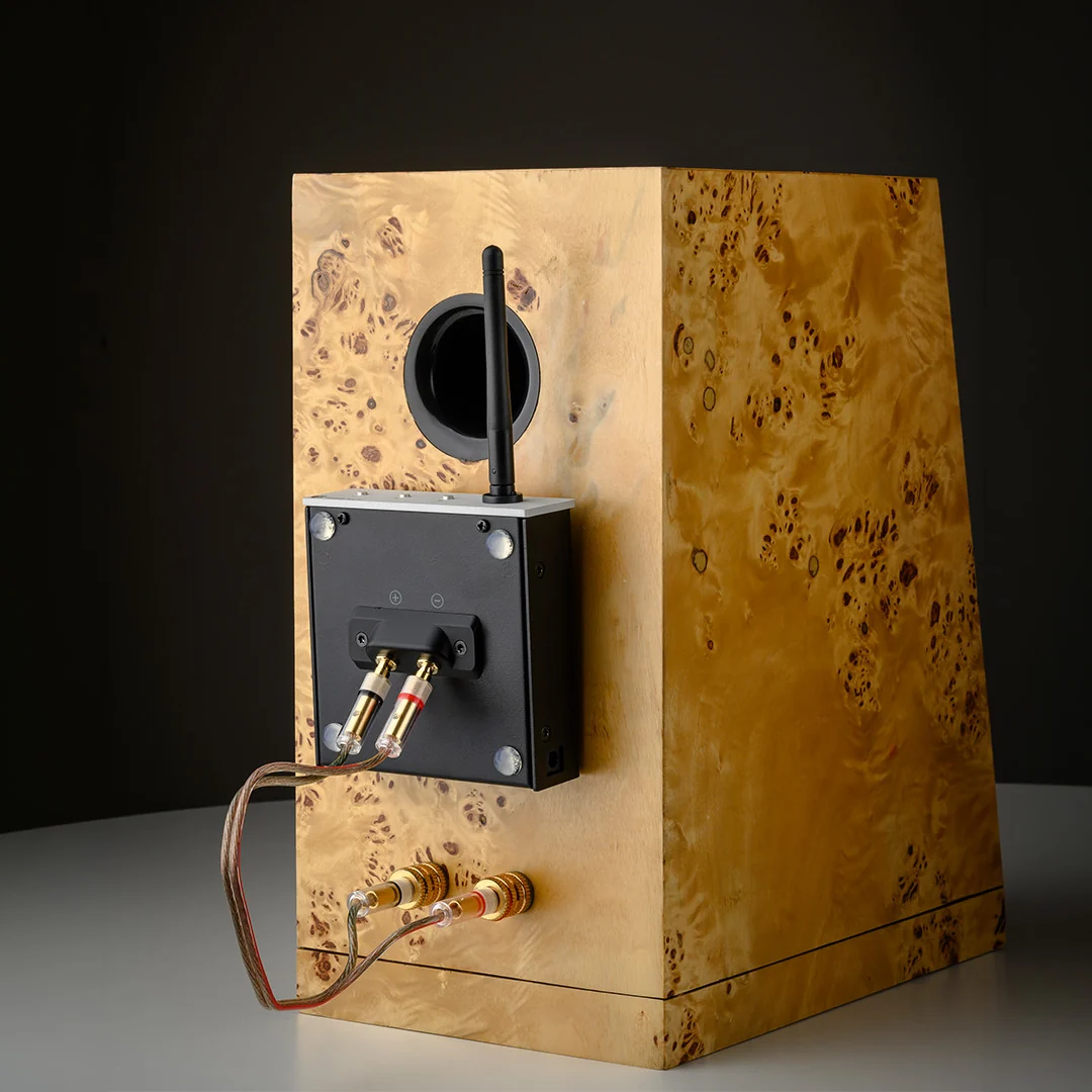 Pro-Ject Wireless Box E – Bild 3