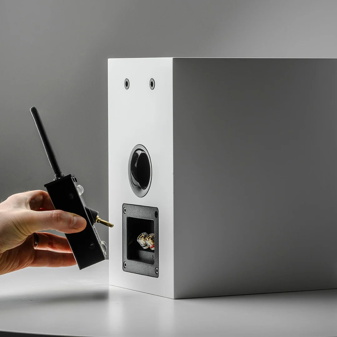Pro-Ject Wireless Box E – Bild 4