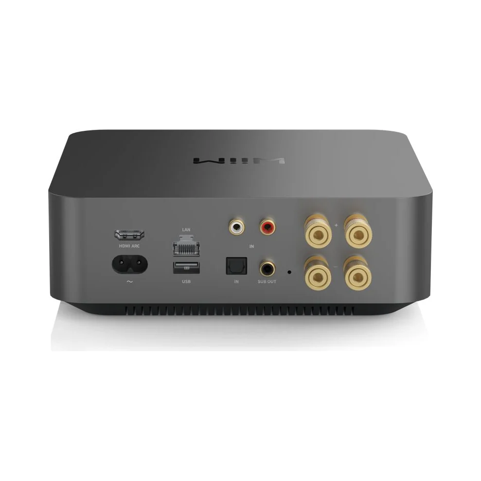 WiiM Amp Pro Streaming-Verstärker in Space Gray (grau), Rückseite mit den Anschlüssen