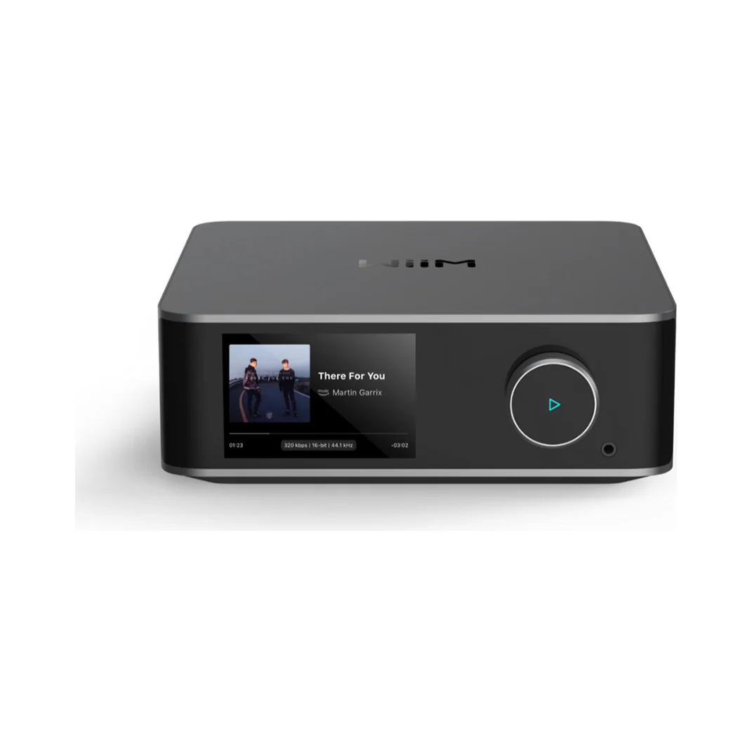 WiiM Amp Ultra Streaming-Verstärker in Space Gray (grau), Ansicht von schräg vorn