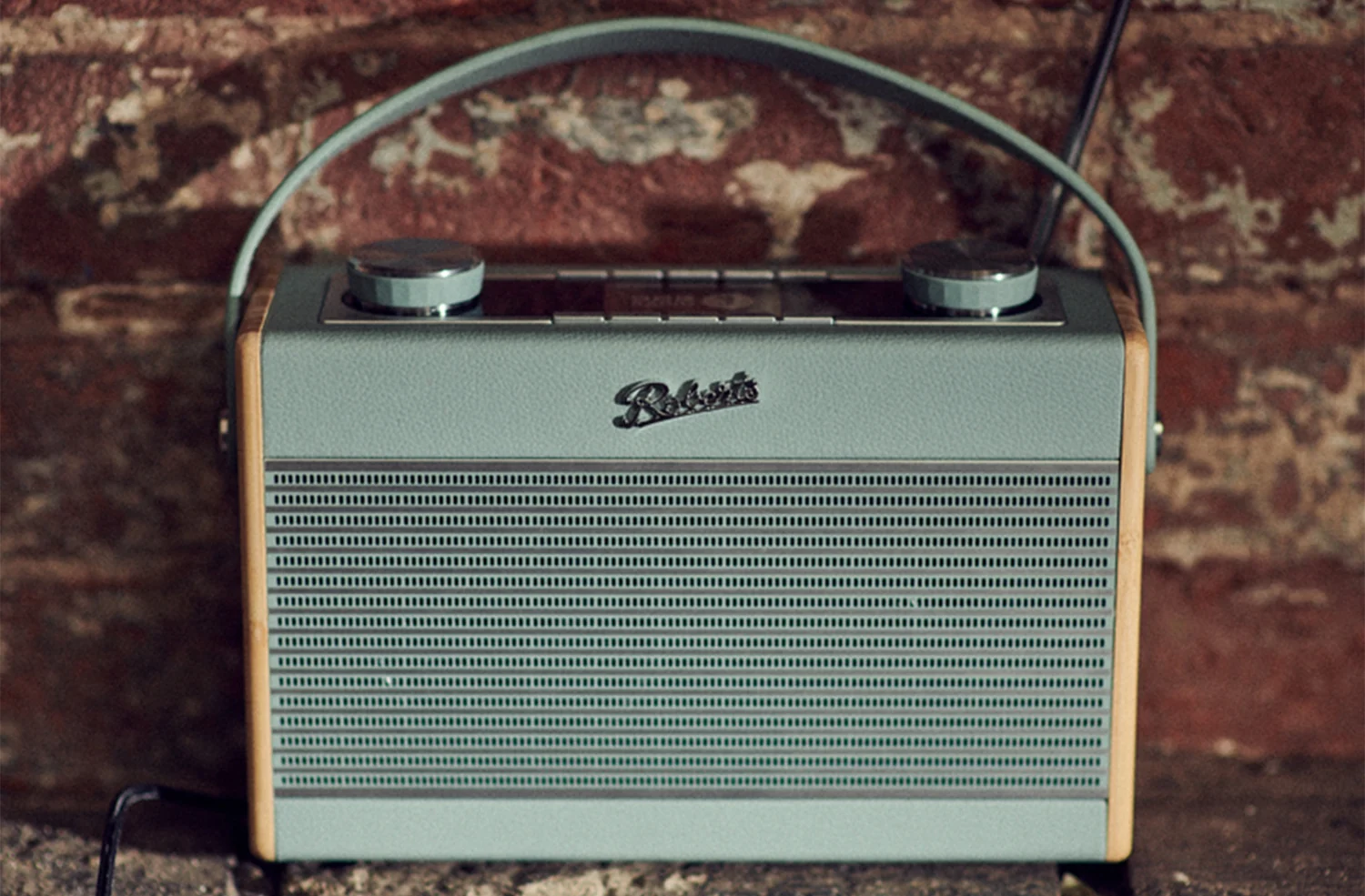 Roberts Rambler Max im Freien auf einer Steinmauer