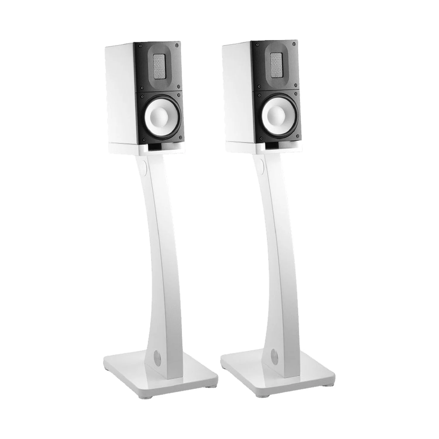 Raidho X1t Kompaktlautsprecher