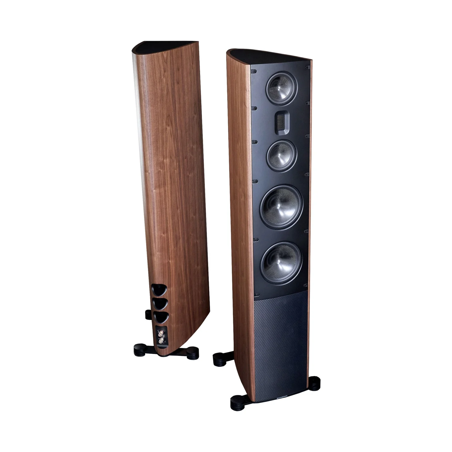Scansonic HD MB8 B Walnuss