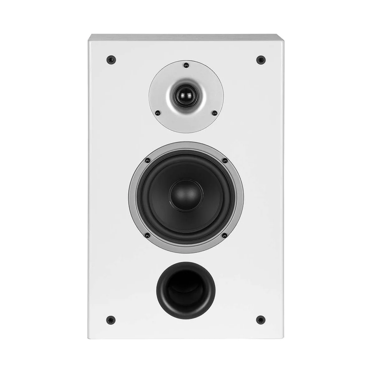 Wilson Raptor On-Wall